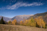 20071102_125642 Boschi autunnali e panorama a Nord.jpg